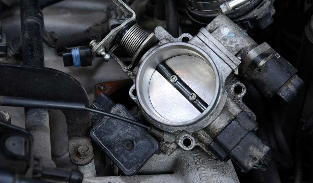 ปีกผีเสื้อ-1